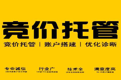 案例剖析：SEM代运营服务公司的优势与挑战